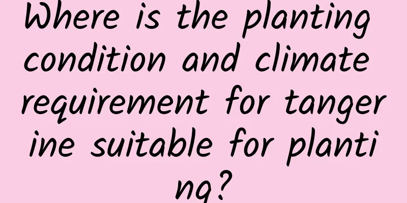 Where is the planting condition and climate requirement for tangerine suitable for planting?
