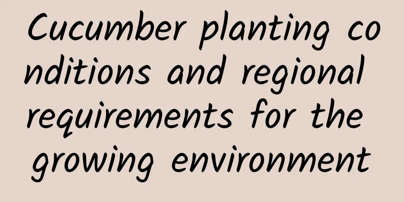 Cucumber planting conditions and regional requirements for the growing environment