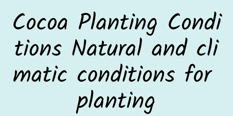 Cocoa Planting Conditions Natural and climatic conditions for planting