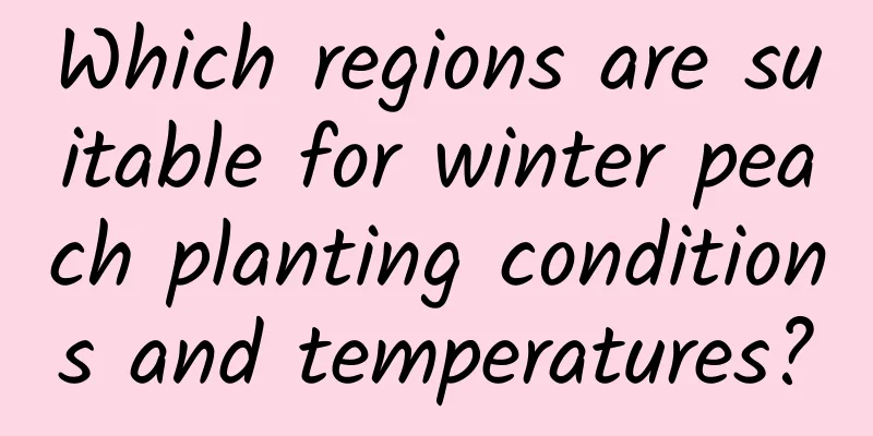 Which regions are suitable for winter peach planting conditions and temperatures?