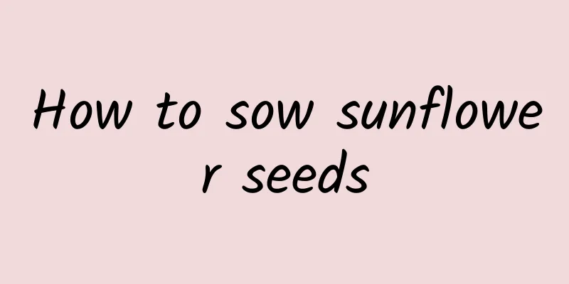 How to sow sunflower seeds