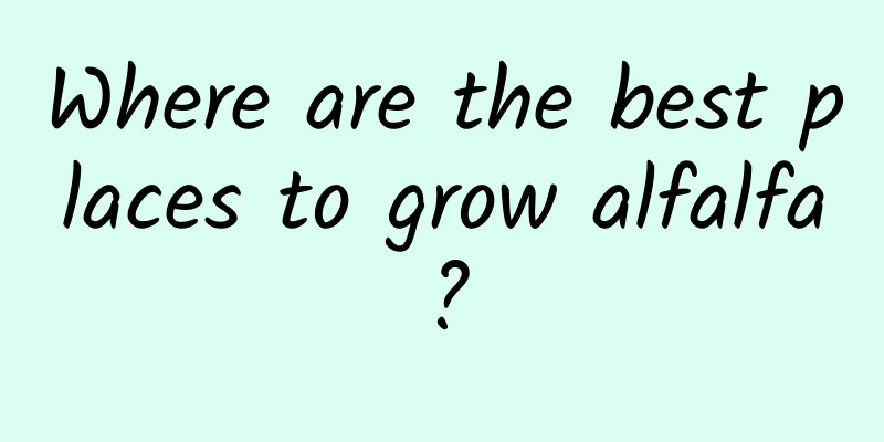 Where are the best places to grow alfalfa?