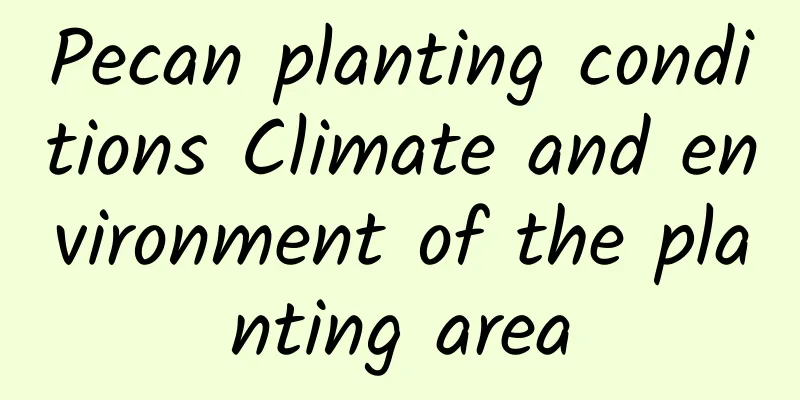 Pecan planting conditions Climate and environment of the planting area