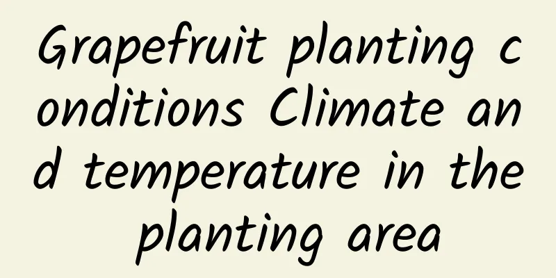 Grapefruit planting conditions Climate and temperature in the planting area