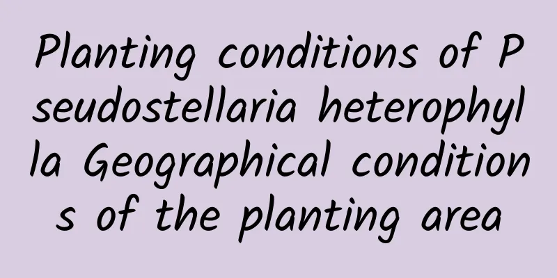 Planting conditions of Pseudostellaria heterophylla Geographical conditions of the planting area