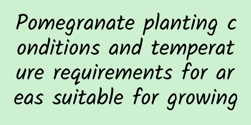 Pomegranate planting conditions and temperature requirements for areas suitable for growing
