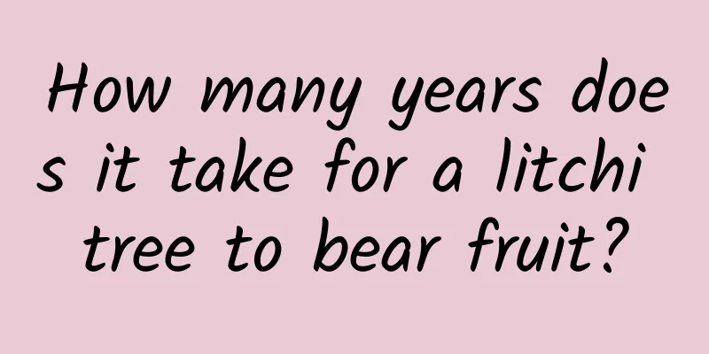 How many years does it take for a litchi tree to bear fruit?