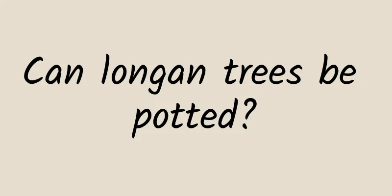 Can longan trees be potted?