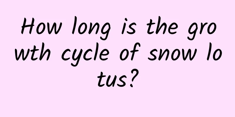 How long is the growth cycle of snow lotus?