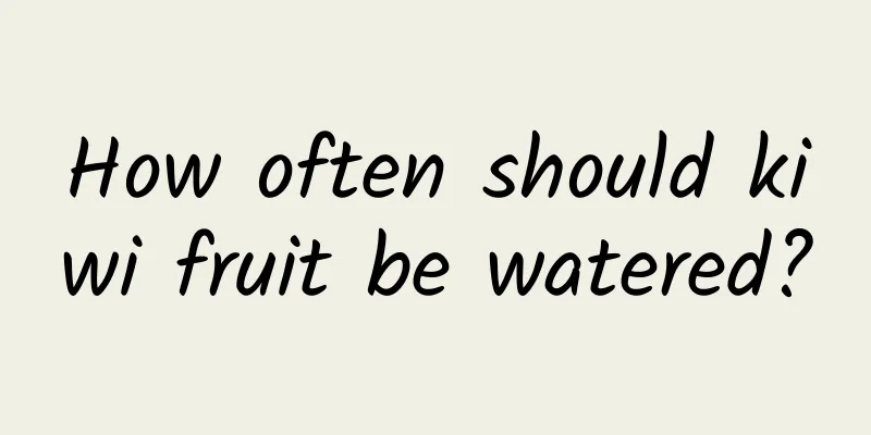 How often should kiwi fruit be watered?