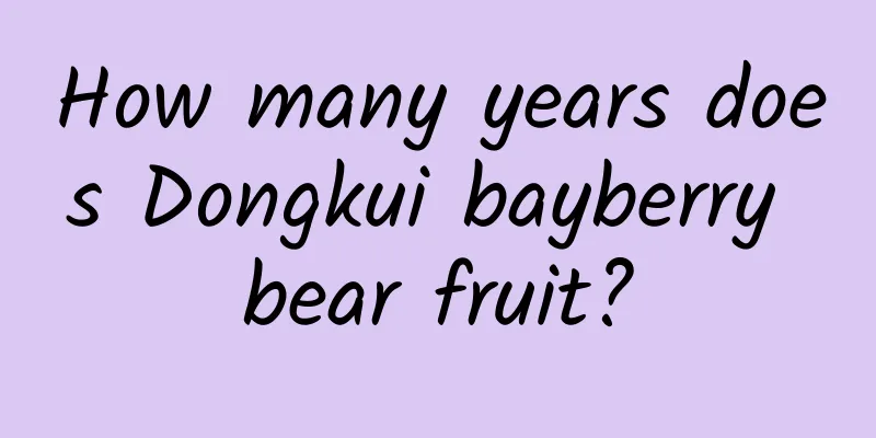 How many years does Dongkui bayberry bear fruit?