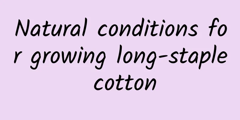 Natural conditions for growing long-staple cotton