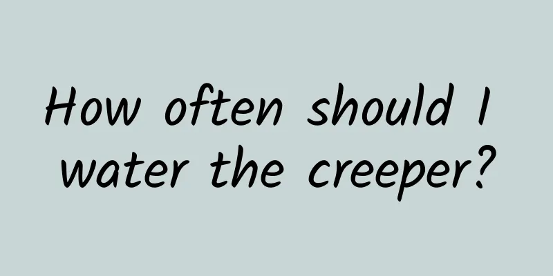 How often should I water the creeper?