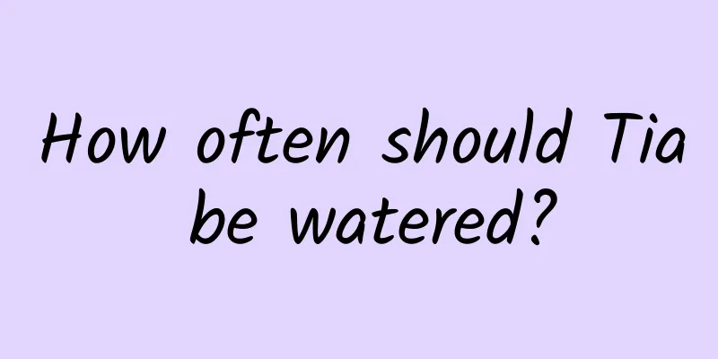 How often should Tia be watered?