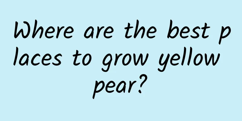 Where are the best places to grow yellow pear?