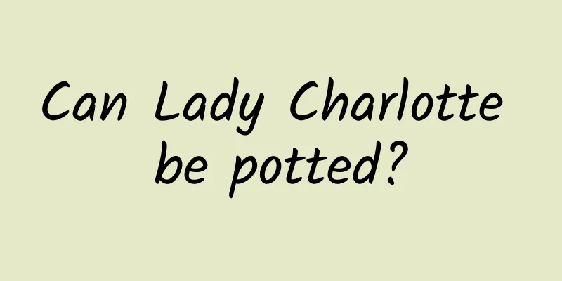 Can Lady Charlotte be potted?