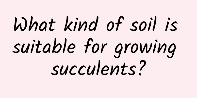 What kind of soil is suitable for growing succulents?