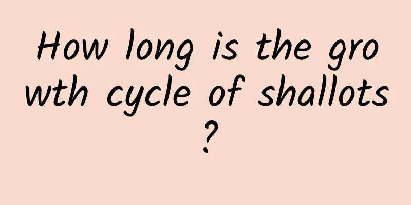 How long is the growth cycle of shallots?