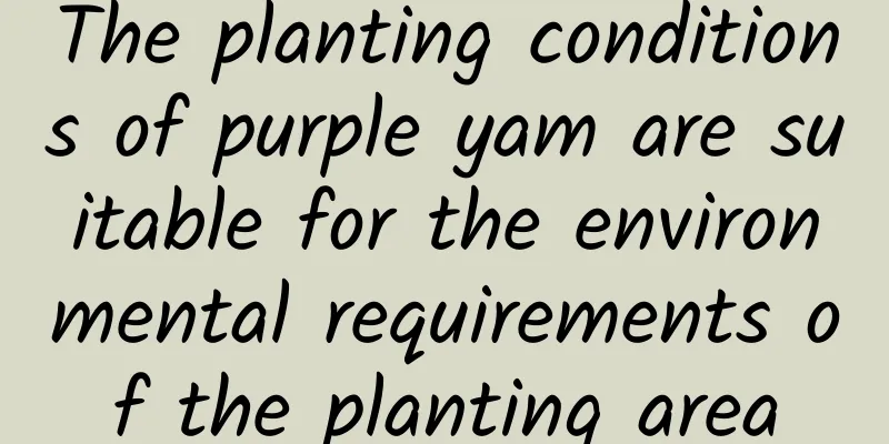 The planting conditions of purple yam are suitable for the environmental requirements of the planting area