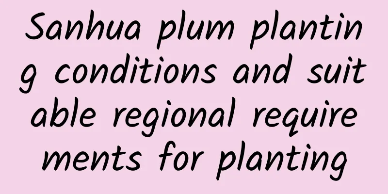 Sanhua plum planting conditions and suitable regional requirements for planting