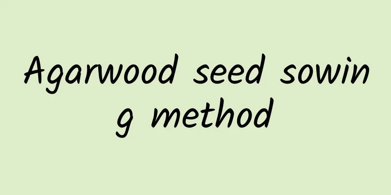Agarwood seed sowing method