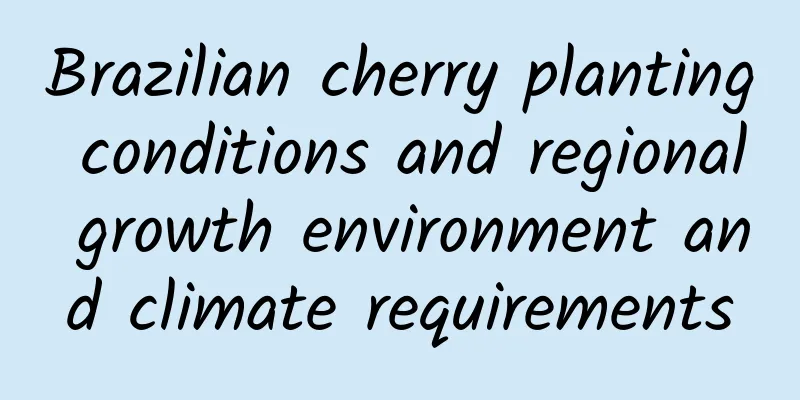 Brazilian cherry planting conditions and regional growth environment and climate requirements