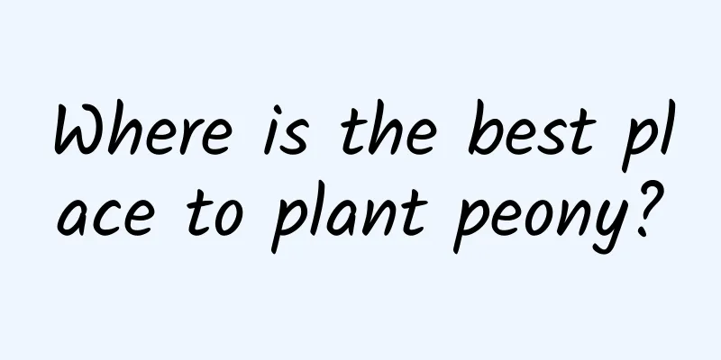 Where is the best place to plant peony?