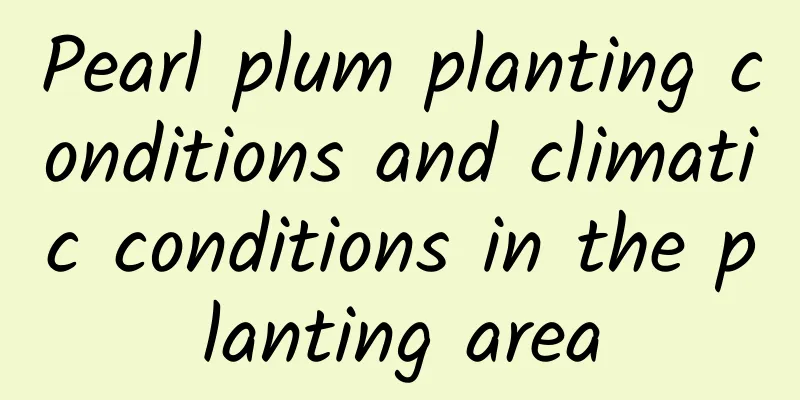 Pearl plum planting conditions and climatic conditions in the planting area