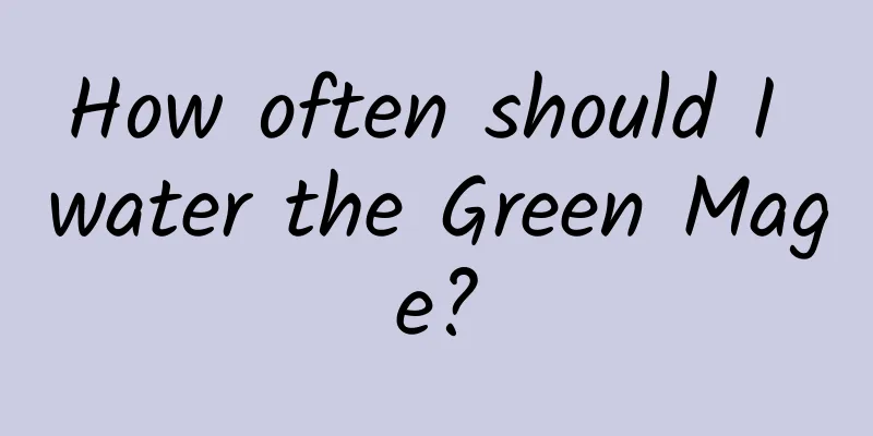 How often should I water the Green Mage?