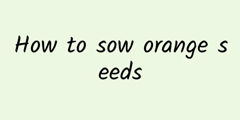 How to sow orange seeds