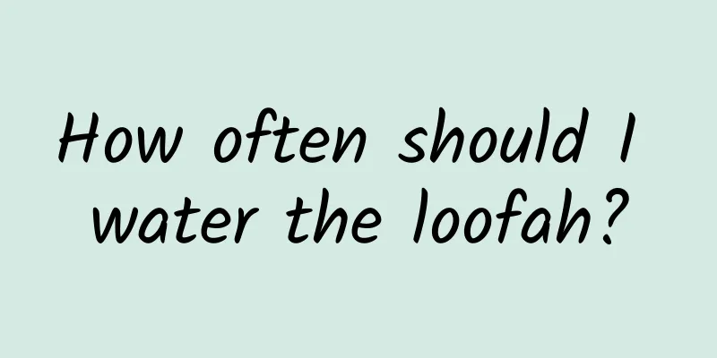 How often should I water the loofah?