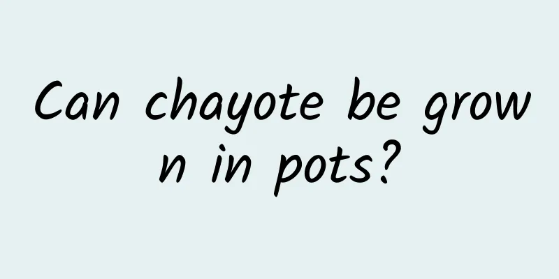 Can chayote be grown in pots?
