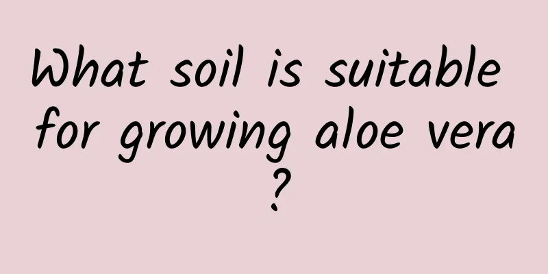 What soil is suitable for growing aloe vera?