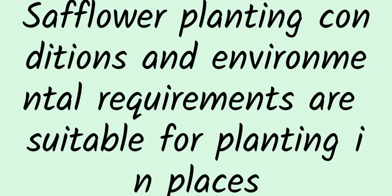 Safflower planting conditions and environmental requirements are suitable for planting in places