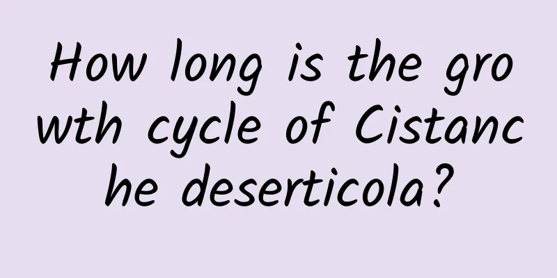 How long is the growth cycle of Cistanche deserticola?