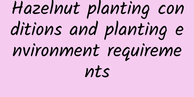 Hazelnut planting conditions and planting environment requirements