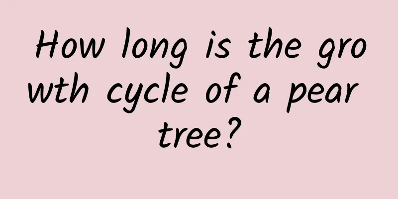 How long is the growth cycle of a pear tree?