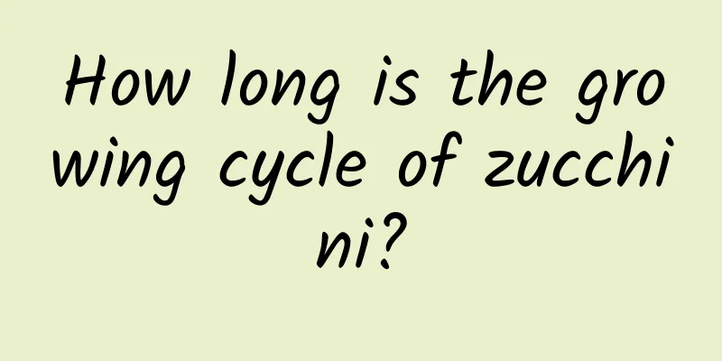 How long is the growing cycle of zucchini?