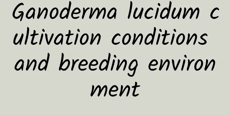 Ganoderma lucidum cultivation conditions and breeding environment