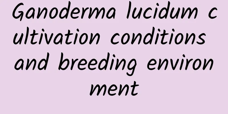 Ganoderma lucidum cultivation conditions and breeding environment