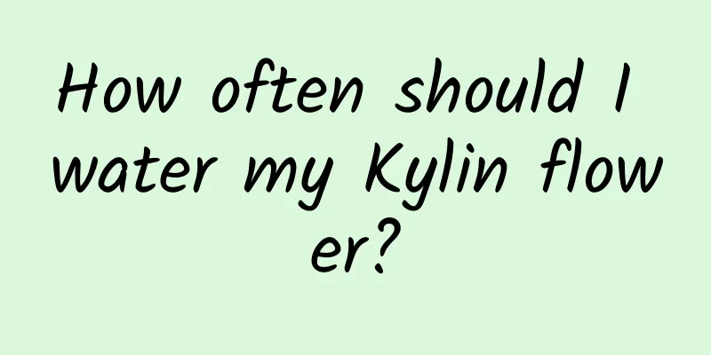 How often should I water my Kylin flower?
