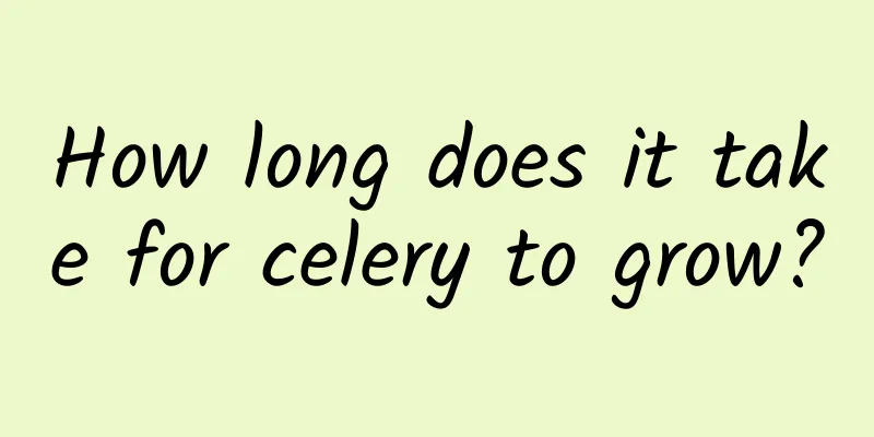 How long does it take for celery to grow?