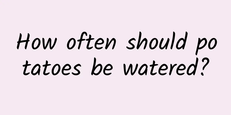 How often should potatoes be watered?