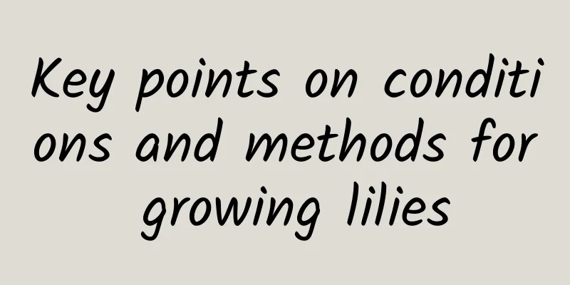Key points on conditions and methods for growing lilies