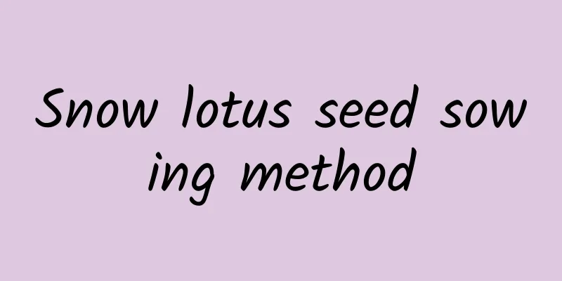 Snow lotus seed sowing method