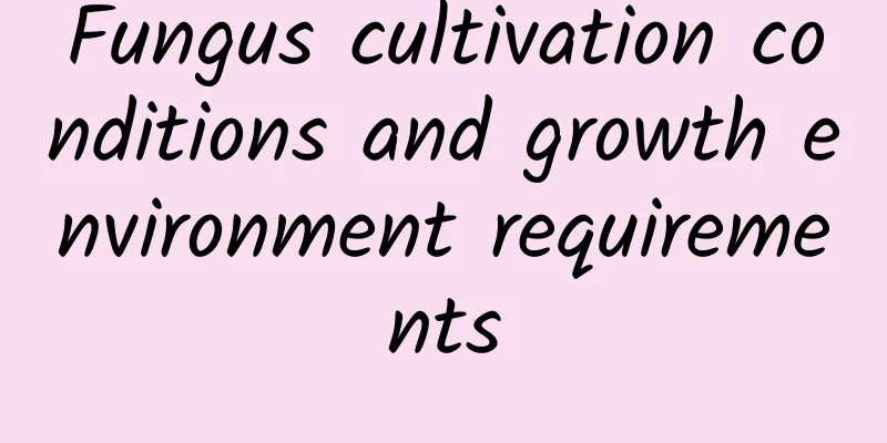 Fungus cultivation conditions and growth environment requirements