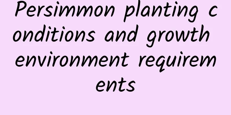 Persimmon planting conditions and growth environment requirements