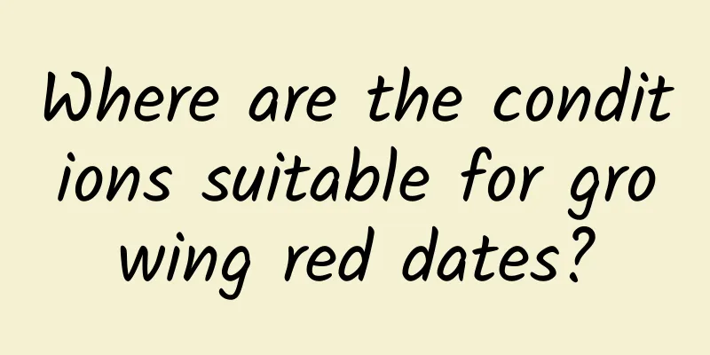Where are the conditions suitable for growing red dates?
