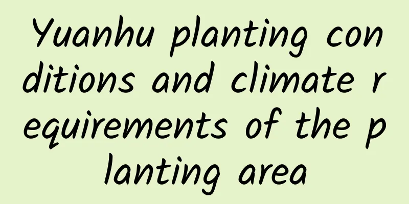 Yuanhu planting conditions and climate requirements of the planting area