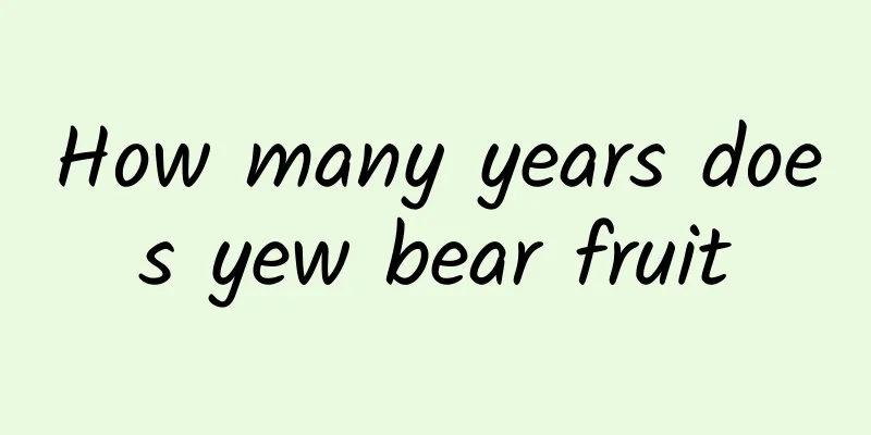 How many years does yew bear fruit